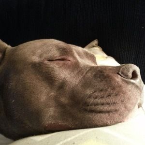 Meet your Posher, Leslie